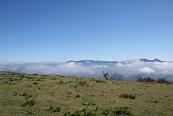 Cloud in the valley below Mt Sylphs (near Scone, NSW) on 5 Jul 2006. Photo by Grant Burgess